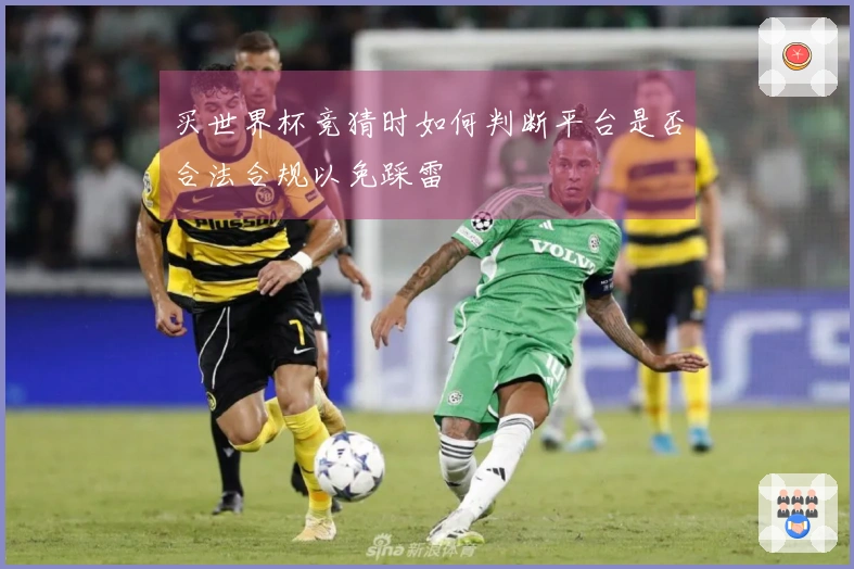 买世界杯竞猜时如何判断平台是否合法合规以免踩雷