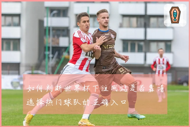 如何判断世界杯下注网站是否靠谱选择热门球队的正确入口